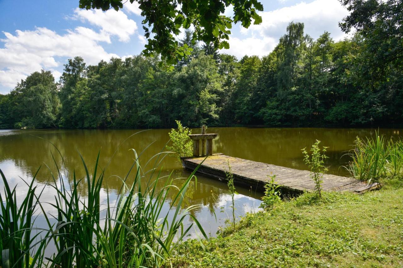 La Genetiere - Grande Maison Avec Etang En Sologne Mery-es-Bois Kültér fotó